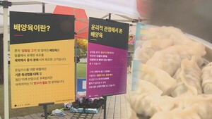 고기 없어도 이런 맛이?..동국대 채식만두 선보여 - 뉴스 썸네일 이미지